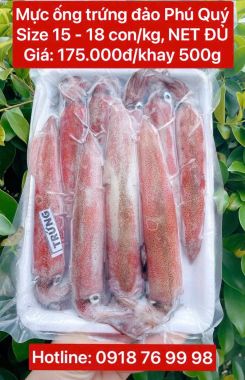 Mực ống trứng đảo Phú Quý size 15 - 18 con/kg (NET ĐỦ)- Khay 500gr