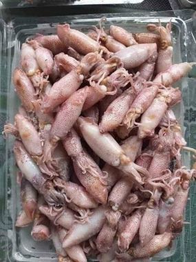Mực sim xà trứng hấp size 50 - 60 con/kg - Khay 500gr