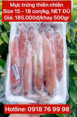 Mực ống trứng đảo Phú Quý size 15 - 18 con/kg (NET ĐỦ)- Khay 500gr