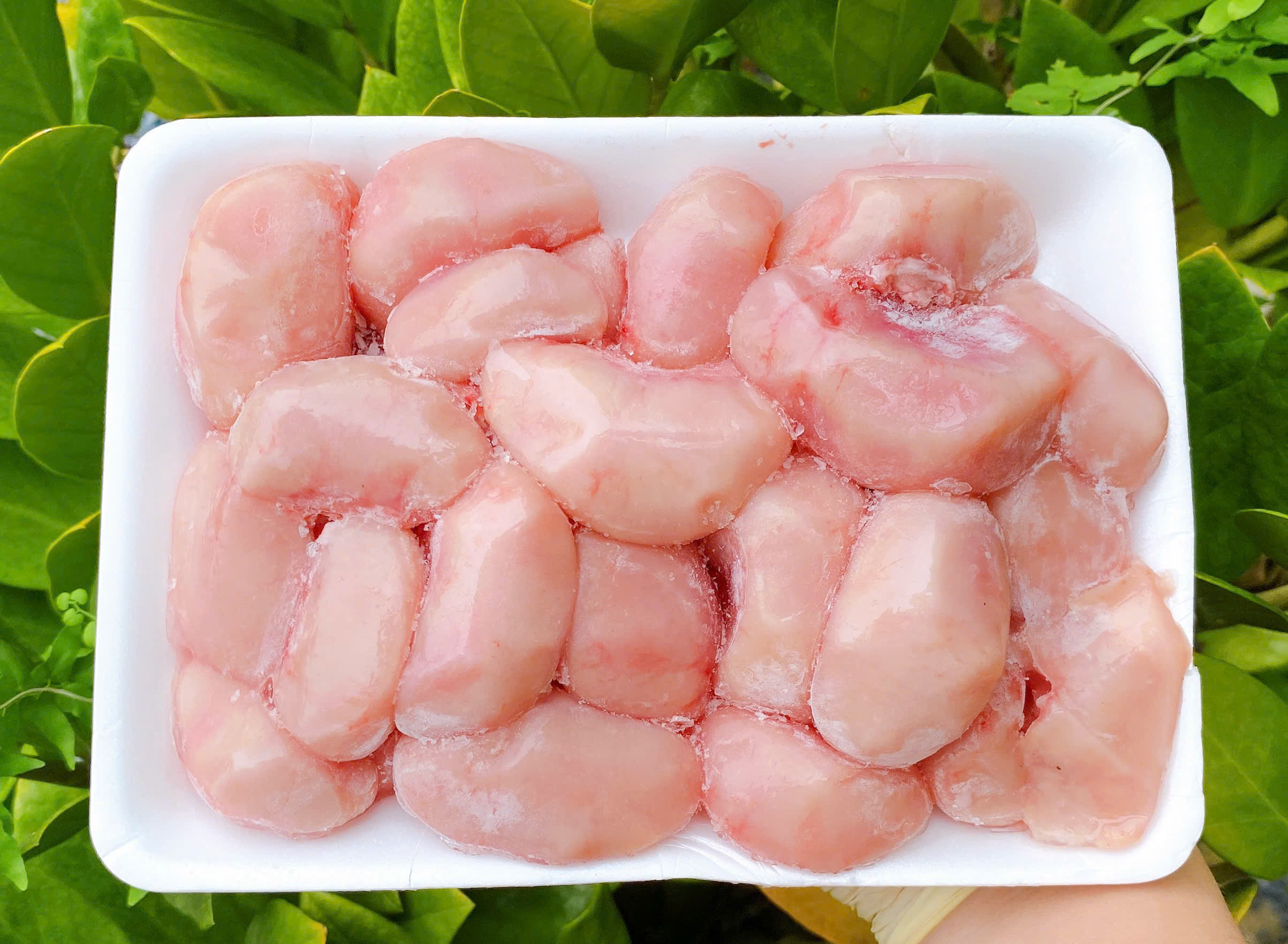 Kê Gà Nhập Khẩu - Khay 500g