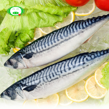 Cá Saba Na Uy Nguyên Con (Whole Norway Mackerel) - [Size 400g - 600g/Con]